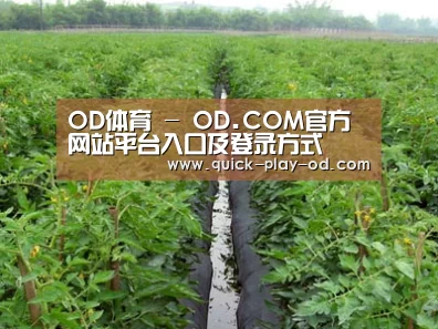 种植基地三
