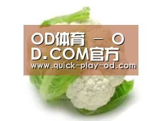 产品名称九