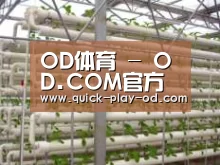 环境展示六