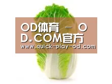 产品名称一(图1)
