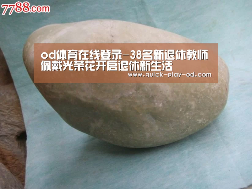 od体育在线登录-38名新退休教师佩戴光荣花开启退休新生活(图1) od体育在线登录