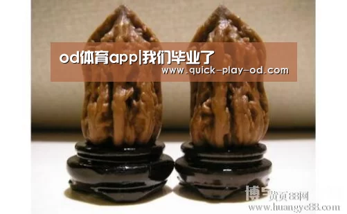 od体育app
